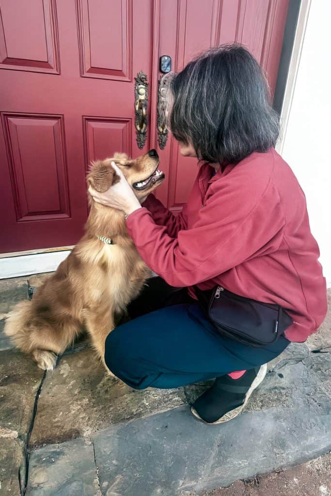 Charleston dog trainer demonstrating relationship-based training approach with golden retriever, building trust through positive connection.