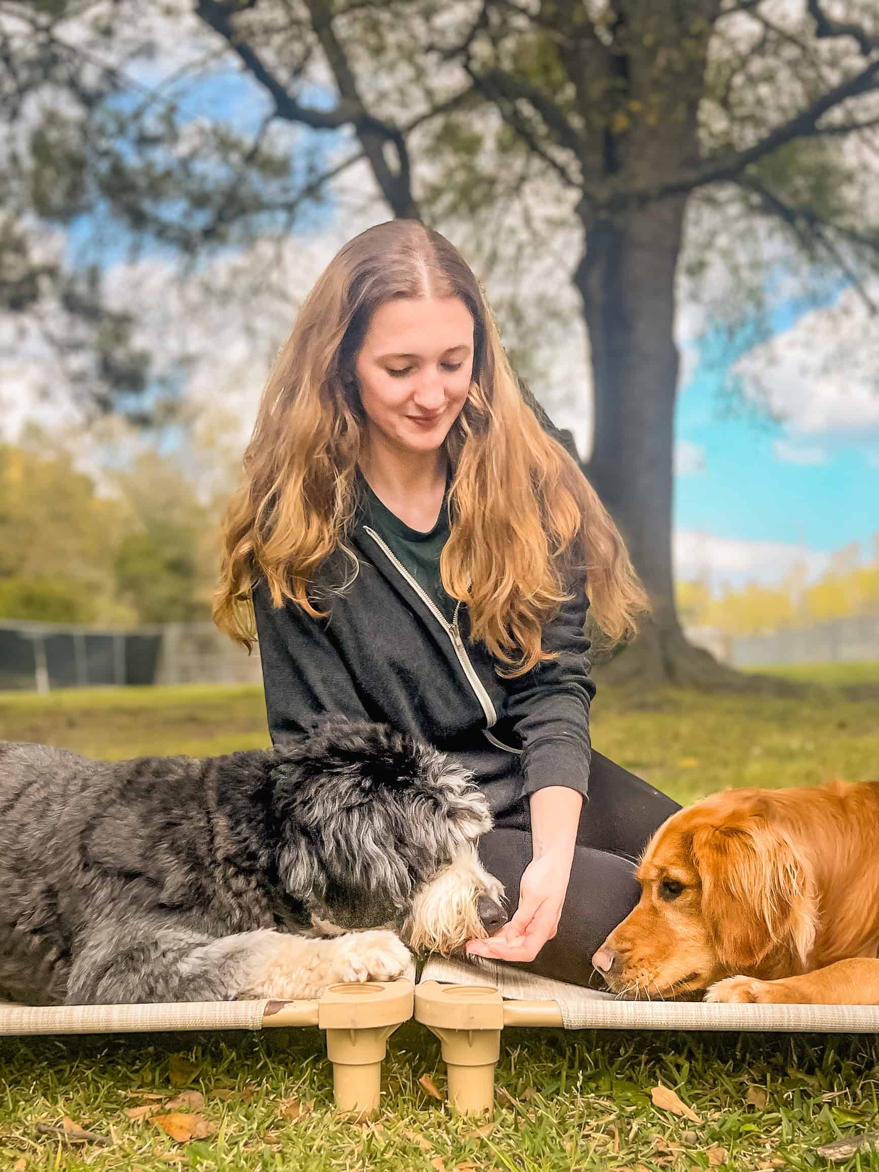 Sydney Redmond, trainer at Well Mannered Dog, hand-feeding a gray doodle on a cot with a golden retriever resting nearby