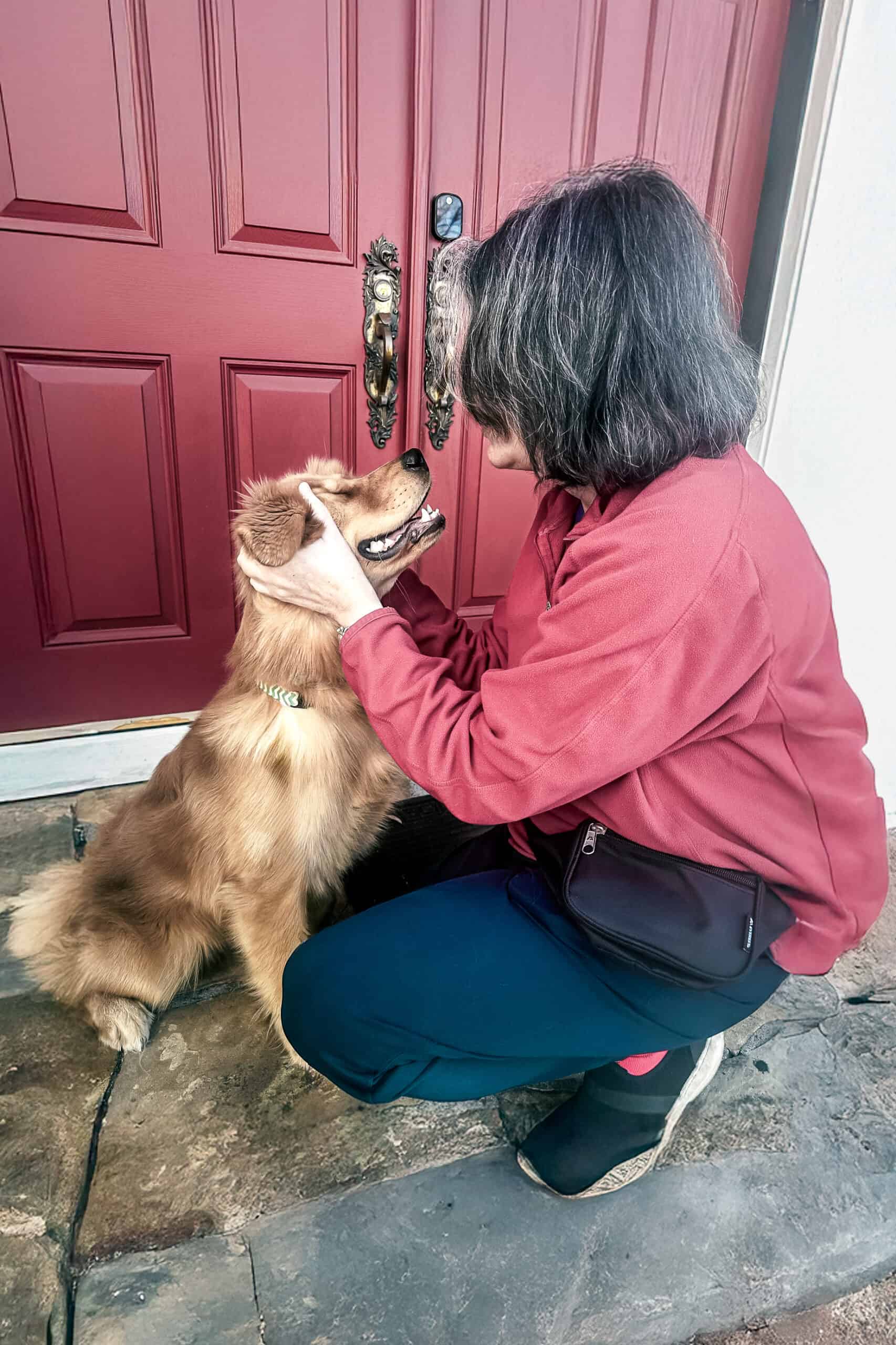 Dog training Charleston demonstrating relationship-based training approach with golden retriever, building trust through positive connection.